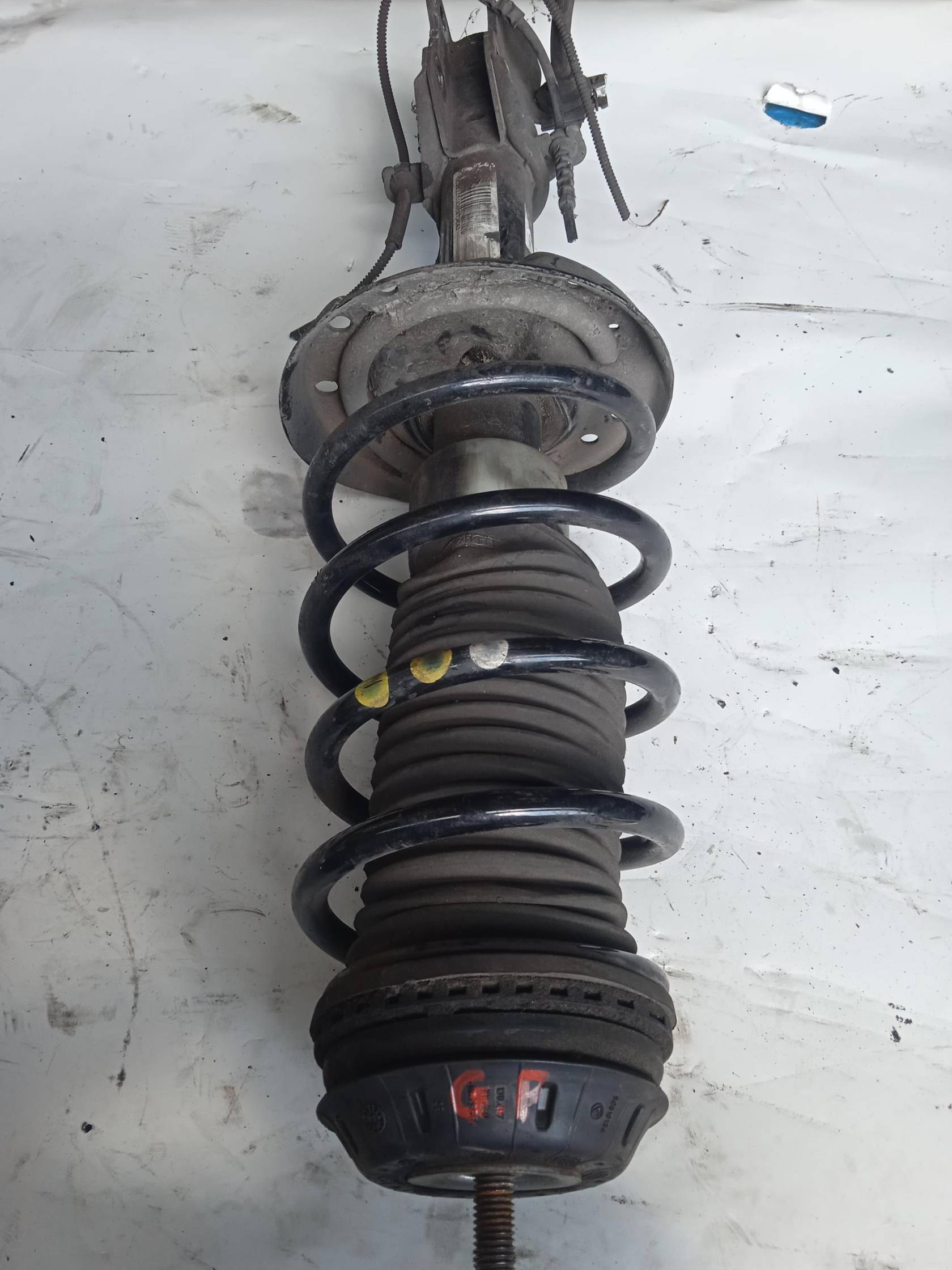 Ammortizzatore ant. sx.